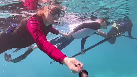 6 Days in Palau - Searching Jungle for WWII Battlefields, Fishing, Kayaking & Snorkeling
