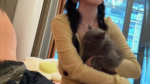 My Daily Life Vlog Short Clip Series Part 330 🎥 Simple Day in My Life 📸 My Daily Life Routine