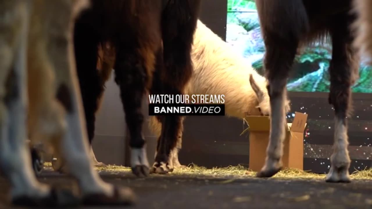 IW Archives 2019 Oct 09