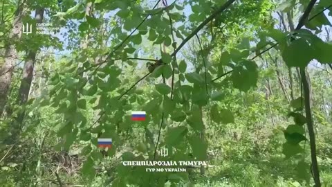 🎖️💥 Ukraine Russia War | AFU Joint Ops Compilation - Intense Combat Footage | RCF