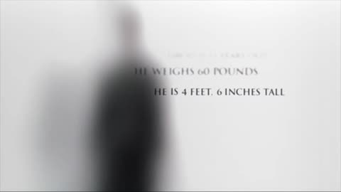 A.I.： Artificial Intelligence (2001) Trailer #1