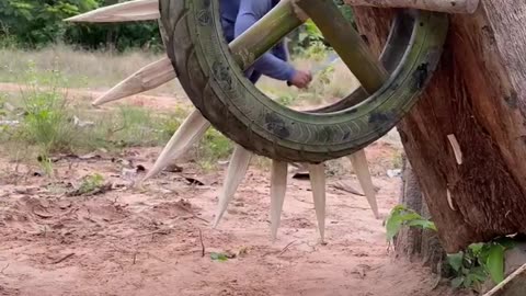 Build Wild boar Trap Using Big Palm tree & Bamboo Fall in to Deep Hole #wildanimal #shortvideo
