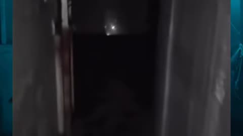 😱👻 What is That? Ghostly Toks | TheHauntingHour