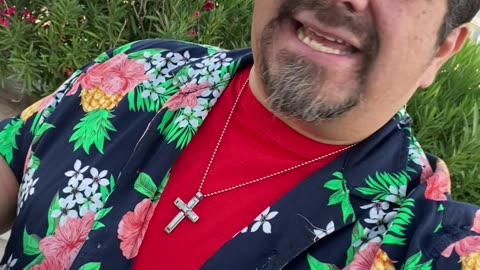 Dios Toca la Tierra: Creación y Vida Nueva