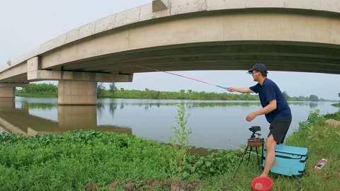 Shad Spin Fishing in River Migration Paths
