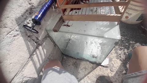 How to Take Care of Pigeons at Home