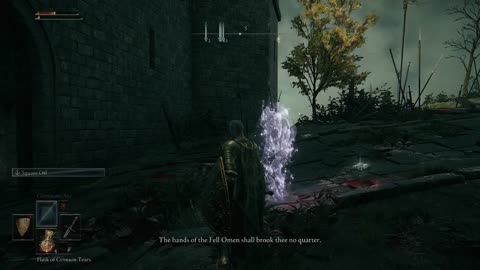 Elden Ring Adventures: Are You Crying Yet