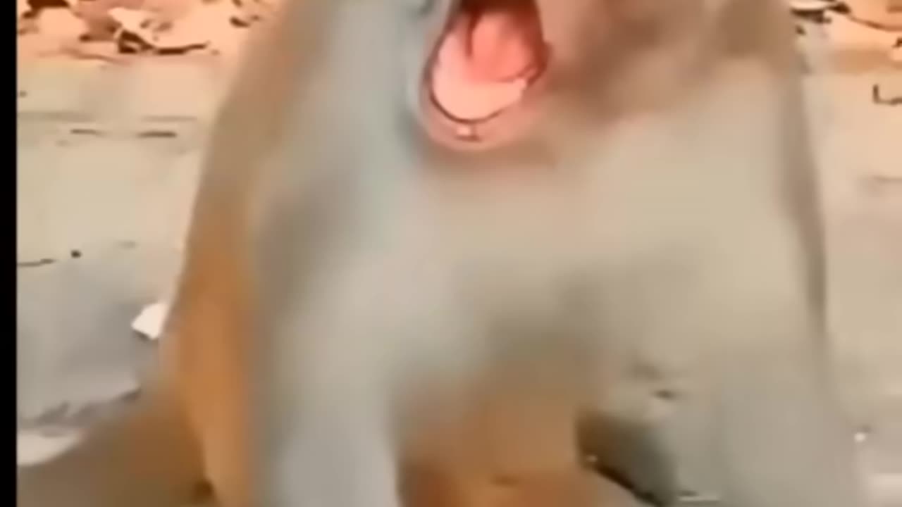 funny baby 👶 video 🤷_♀️😂