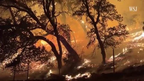 Evacuations Ordered as Wildfires Expand in California’s Napa County