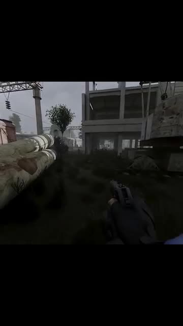 A Funny S.T.A.L.K.E.R. Gamma Moment