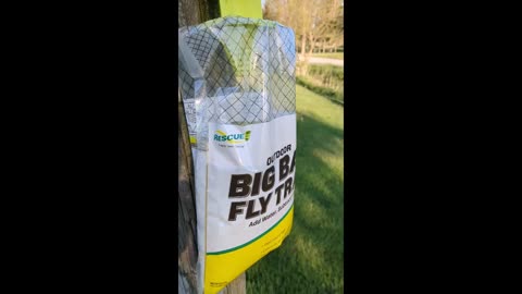 Trap stable and house flies early and often - 10 May 2025