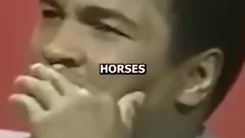 For The Animals