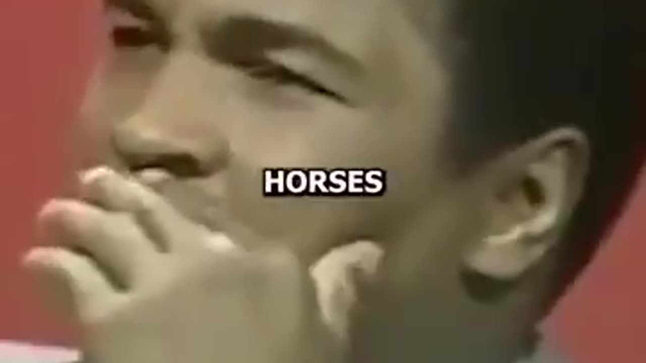 For The Animals