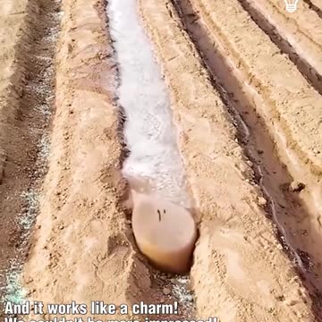 Check out this genius watering idea!.hd