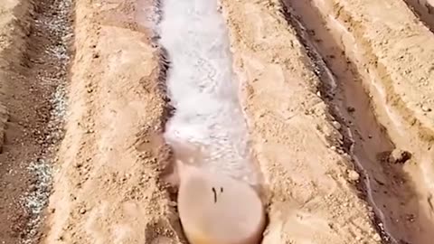 Check out this genius watering idea!.hd