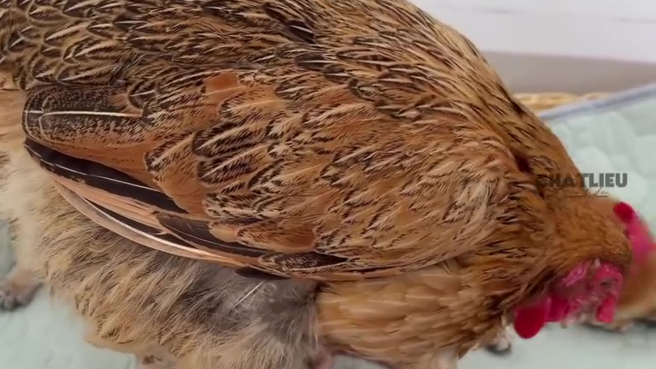 Take care of each other