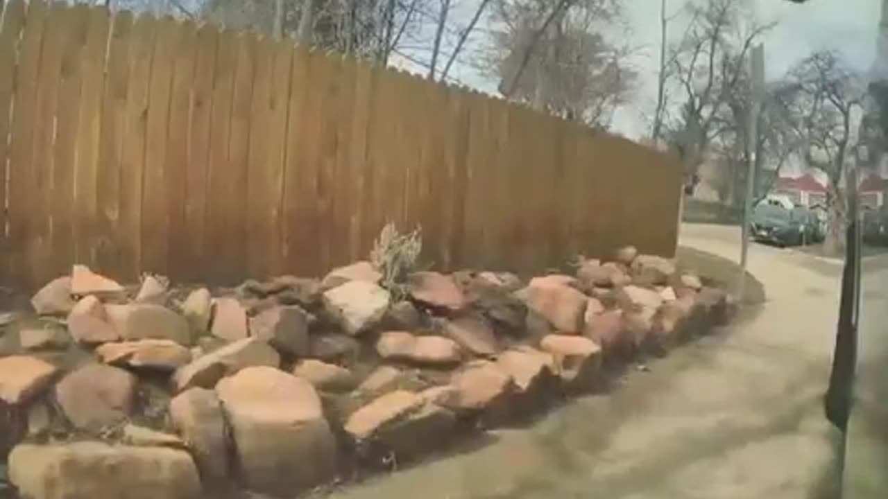 Another deranged mask-wearing leftist was caught slashing the tires on a cybertruck in Boulder, CO.