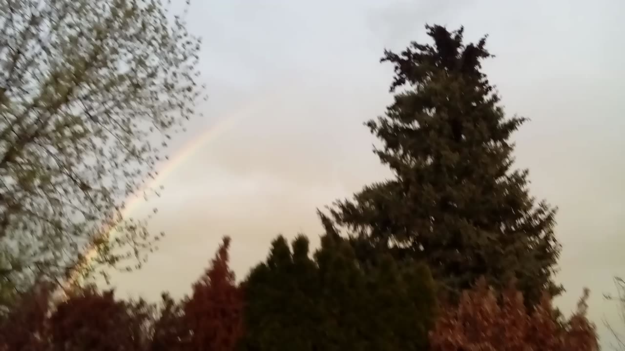 A Beautiful Rainbow 🌈 In Beautiful British Columbia 🇨🇦 April 10 2025