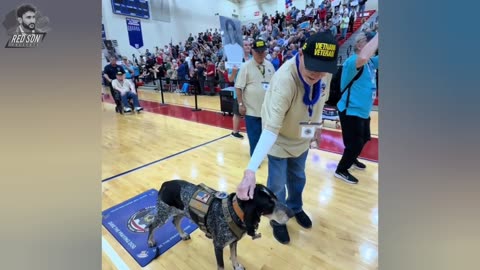 He is a beloved pet and a hero.🐕👌🥰💪