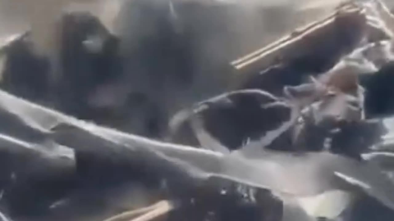 "Ceasefire in Gaza"