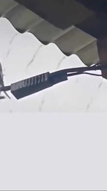 This is what real love looks like.