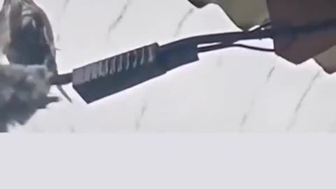 This is what real love looks like.