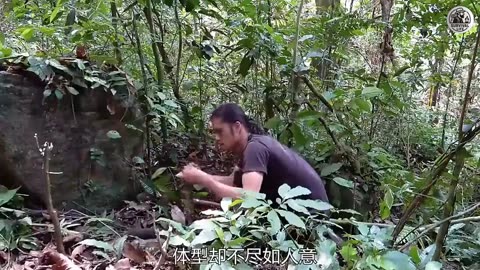 Survival Workshop with EDM Background