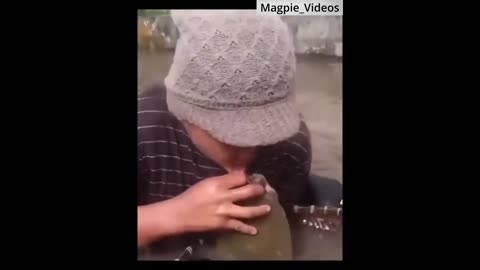 If you could not laugh