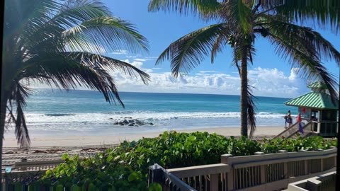 Rent Boats & Yachts for Charters in Boca Raton, Florida🔥🥰