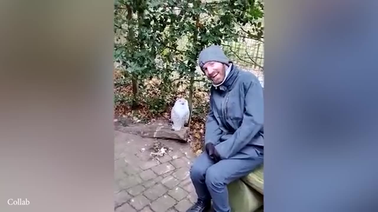 2025’s Funniest Animals 😂 You’ll Be Rolling on the Floor Laughing!