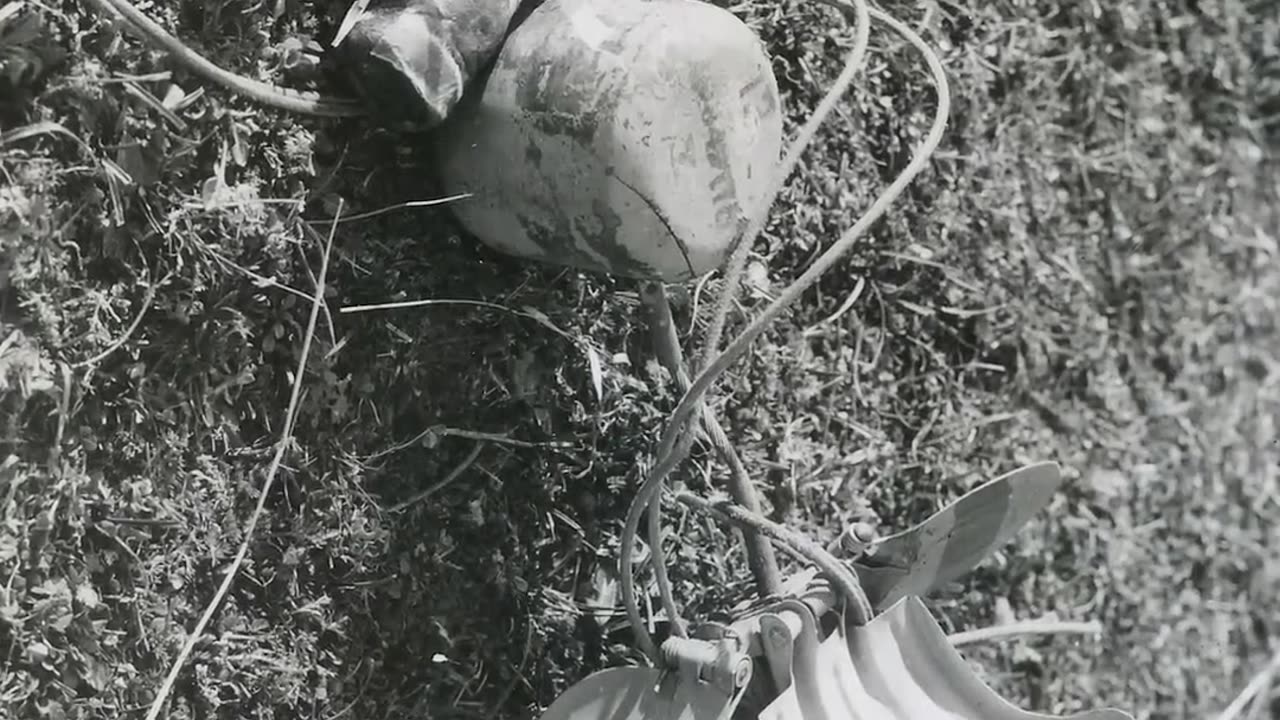 Why Was This German Bomb Called the “Butterfly Bomb” WW2 Documentary