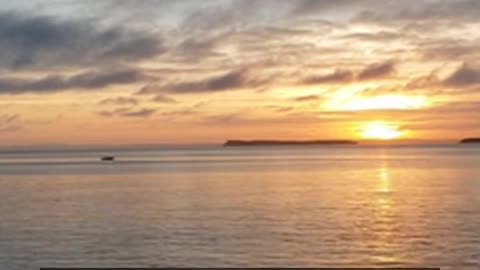 Daily Horoscope | Leo 🌟