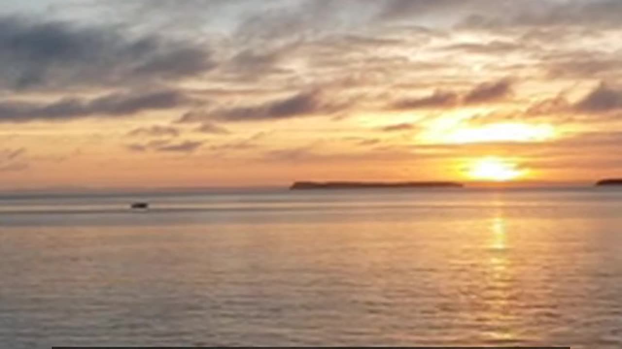 Daily Horoscope | Leo 🌟