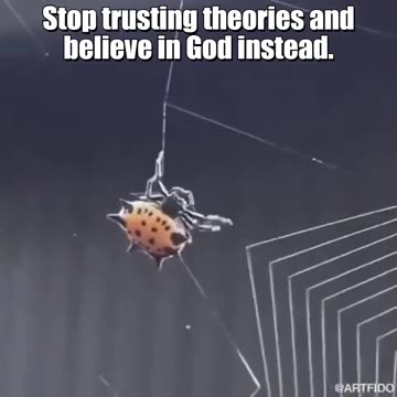 ❤️ Unproven Theory vs Solid Faith