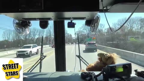 In this episode of bring-chat-to-work-day MrBeanz invites us into the firetruck (3)