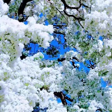 इन बातों जरूर सुने बहुत काम आएगी