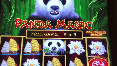 DragonLink Panda Magic 🐼🎰🐉