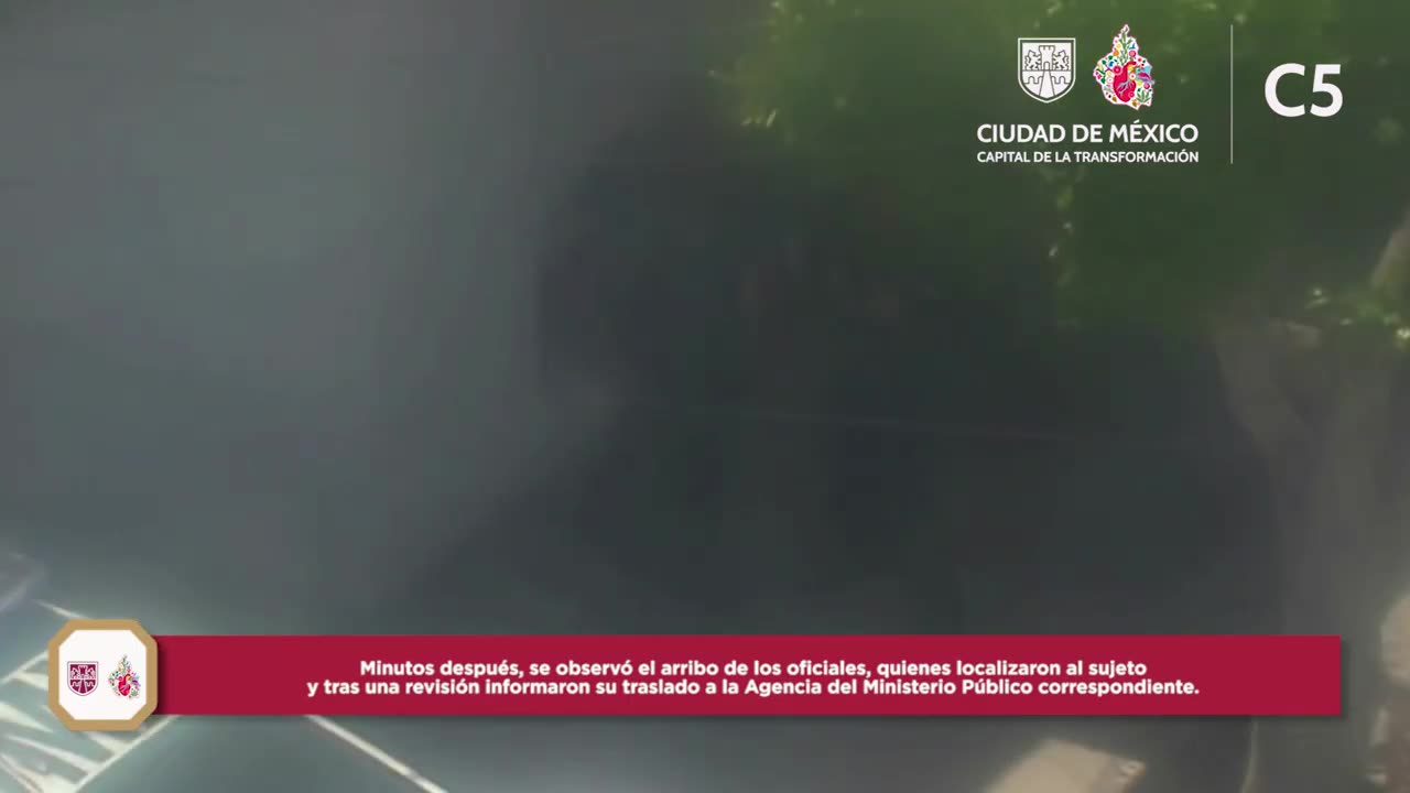 Violencia Familiar | #C5CorazónDeLaCDMX