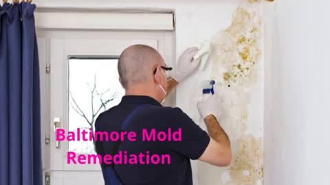 Charm City Mold Inspections - Top-Rated Mold Remediation in Baltimore, MD