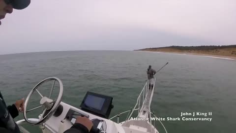 WHITE SHARK ATTACK ALMOST GAT HIM