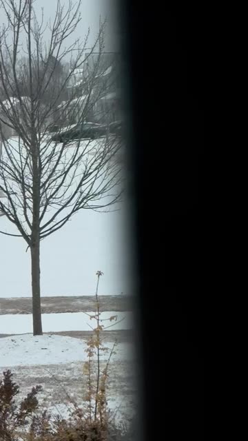 Snow Day in North Carolina and My Neighbors Made the Best of It