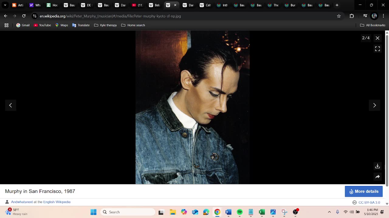 Bauhaus~ Know Your Enemy