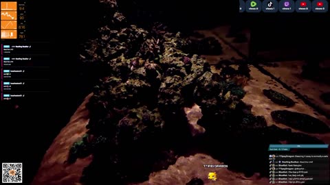 24/7 Real Live Reef Stream