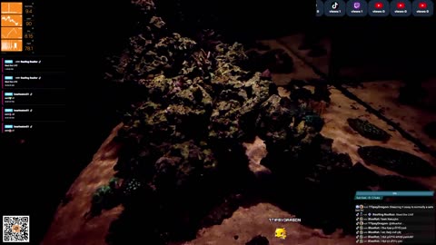 24/7 Real Live Reef Stream