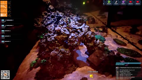 24/7 Real Live Reef Stream