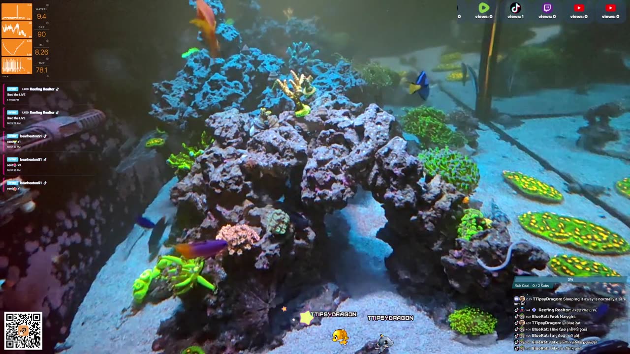 24/7 Real Live Reef Stream