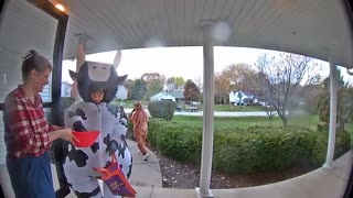 😂🐄 Cow's Downfall is Hilarious! | FunFM