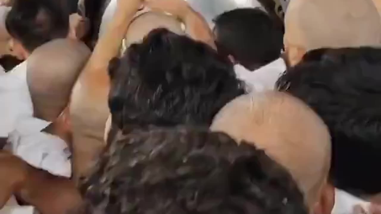 Why do they jump on top of each other?