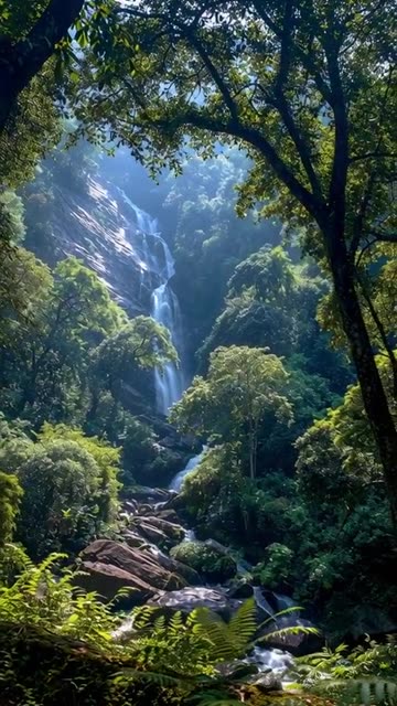 Mogok beautiful water fall and jungle hight trees with many kinds of bird and butterfly