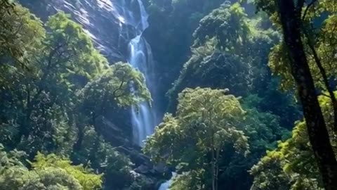 Mogok beautiful water fall and jungle hight trees with many kinds of bird and butterfly